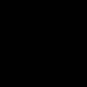 Meet your Posher, Mattie